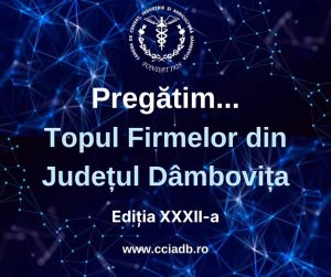 Read more about the article Camera de Comerț Dâmbovița pregătește o noua ediție a Galei „Topul Firmelor 2025”, evenimentul de business al toamnei