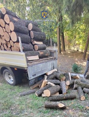 Read more about the article BRANIȘTEA: Dosar penal pentru un șofer din Argeș, depistat transportând ilegal material lemnos!