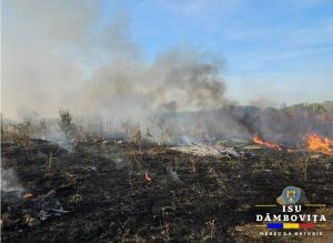 Read more about the article Două incendii de vegetație au fost lichidate de pompierii dâmbovițeni, la Târgoviște și Tărtășești!