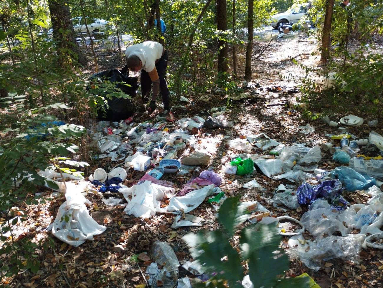 You are currently viewing Silvicultorii dâmbovițeni, în prima linie la Ziua Curățeniei Naționale. Împreună cu voluntarii au adunat din păduri peste 7.5 tone de deșeuri