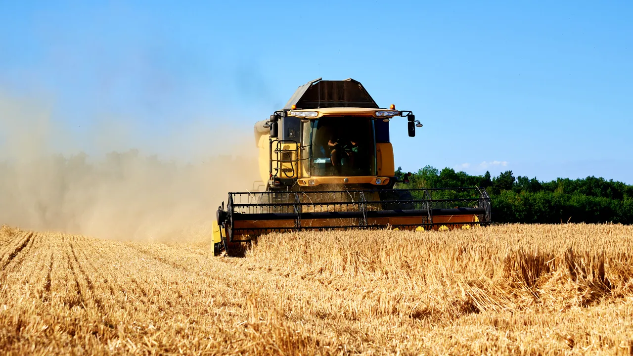 You are currently viewing Ministerul Agriculturii: Producții record, anul acesta, de cereale și rapiță