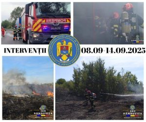 Read more about the article Săptămână de foc pentru pompierii dâmbovițeni – 35 de incendii de vegetație și peste 300 de intervenții