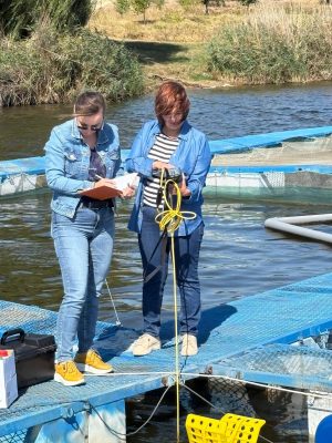 Read more about the article Directorul stațiunii Nucet despre o soluție inovatoare pentru creșterea producției de crap în România