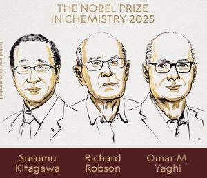 Read more about the article Premiul Nobel pentru Chimie, obținut de trei cercetători pentru dezvoltarea unei noi forme de structură moleculară