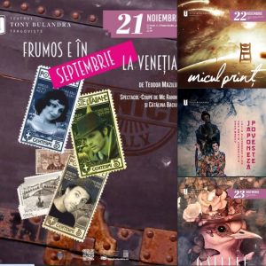 Read more about the article Săli pline și spectacole sold out, în acest weekend, la Teatrul Tony Bulandra