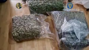 Read more about the article VIDEO: PERSOANE CERCETATE PENTRU TRAFIC INTERN ȘI INTERNAȚIONAL DE DROGURI