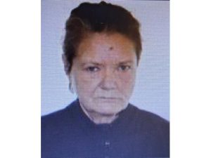 Read more about the article Târgovișteanca dispărută a fost identificată! Din fericire femeia este bine!