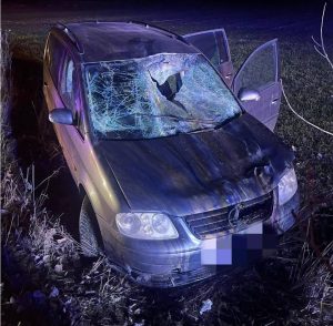 Read more about the article Un cal lăsat nesupraveagheat a provocat un accident rutier la Băleni Sârbi!