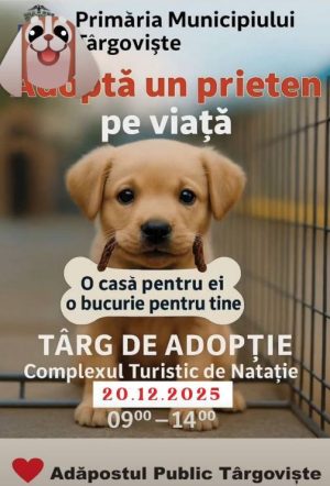 Read more about the article Primul Târg de adopții pentru căței va avea loc, sâmbătă, la Târgoviște