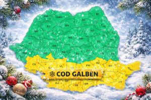Read more about the article Avertizare ANM: ninsori viscolite, vânt puternic și polei în Muntenia. Dâmbovița intră sub COD GALBEN de vreme severă