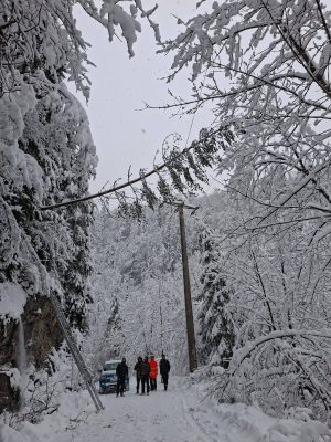 Read more about the article Avarii în rețeaua electrică națională. Județul Dâmbovița, printre zonele afectate