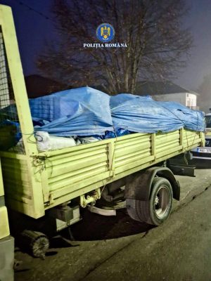 Read more about the article TRANSPORT NECORESPUNZĂTOR DE DEȘEURI NEPERICULOASE, IDENTIFICAT DE POLIȚIȘTII DIN PETREȘTI
