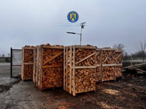 Read more about the article BRANIȘTEA: TRANSPORT DE MATERIAL LEMNOS FĂRĂ PROVENIENȚĂ LEGALĂ, IDENTIFICAT DE POLIȚIȘTI!