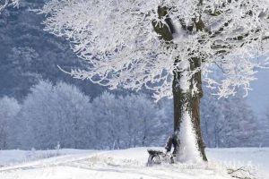 Read more about the article ANM: Ninsoarea și gerul continuă până la finalul săptămânii