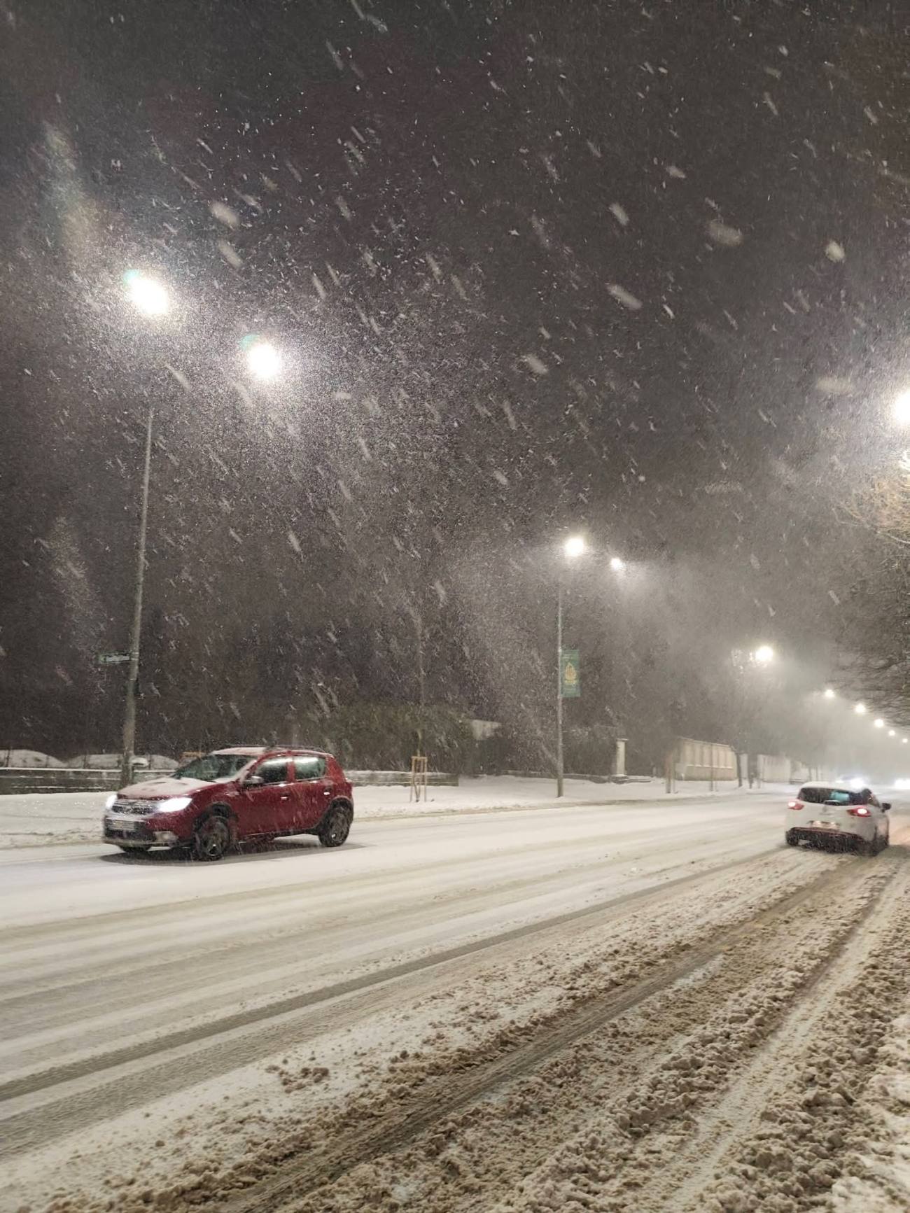 You are currently viewing Cod roșu de ninsoare în București și Ilfov