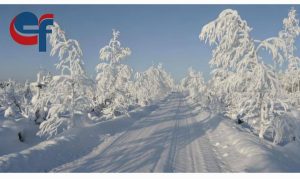 Read more about the article Avarii la rețeaua electrică și intervenții pentru deszăpezire la Cojasca