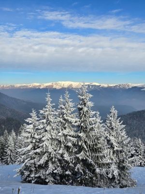Read more about the article Tariful de vizitare în Parcul Natural Bucegi poate fi achitat online, 10 lei pentru trei luni de acces