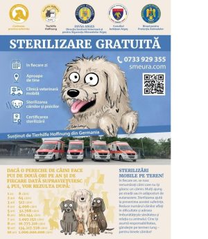 Read more about the article Campanie de sterilizare gratuită a câinilor și pisicilor, organizată la Mogoșani