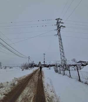Read more about the article Primarul din Răzvad reclamă lipsa energiei electrice în satul Gorgota: Nu înțeleg de ce nu comunică cu noi
