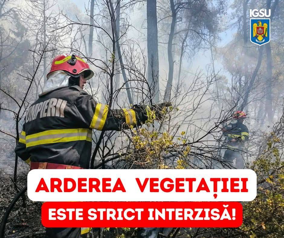 You are currently viewing Incendiu de vegetație uscată la Scheiu de Sus, intervenție a pompierilor din Găești