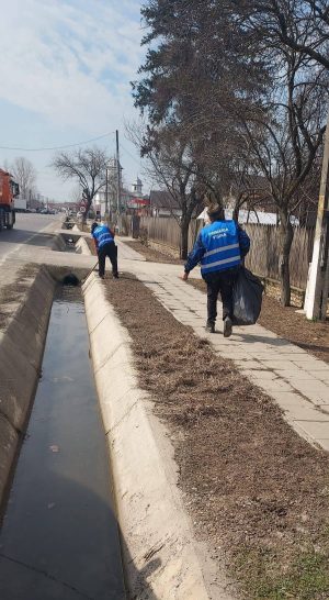 Read more about the article Vișina își mobilizează comunitatea pentru un mediu curat