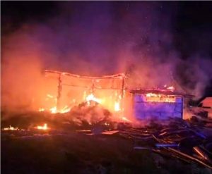 Read more about the article Incendiu produs la o gospodărie din Viișoara! Zeci de animale au murit!