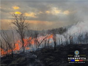 Read more about the article Incendiu puternic de vegetație la Glodeni!