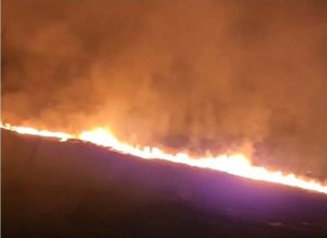 Read more about the article Incendiu puternic de vegetație în orașul Titu!