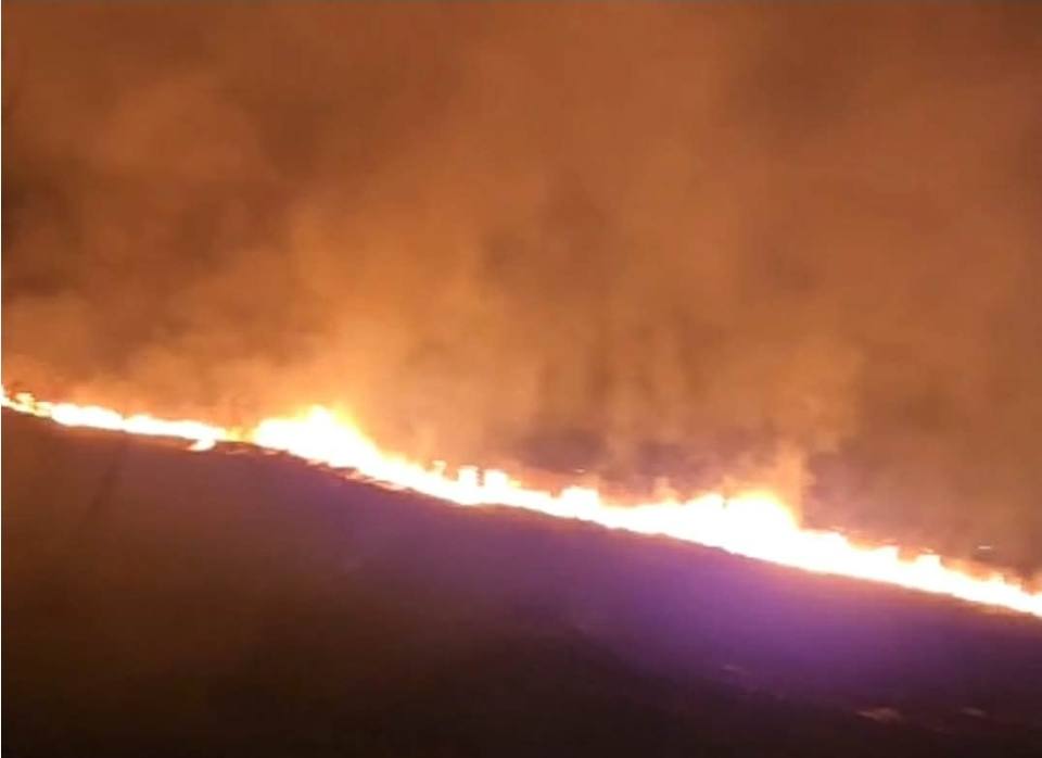 You are currently viewing Incendiu puternic de vegetație în orașul Titu!