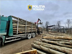 Read more about the article DÂMBOVIȚA: 58 METRI CUBI MATERIAL LEMNOS, CONFISCAȚI DE POLIȚIȘTII DE LA ORDINE PUBLICĂ