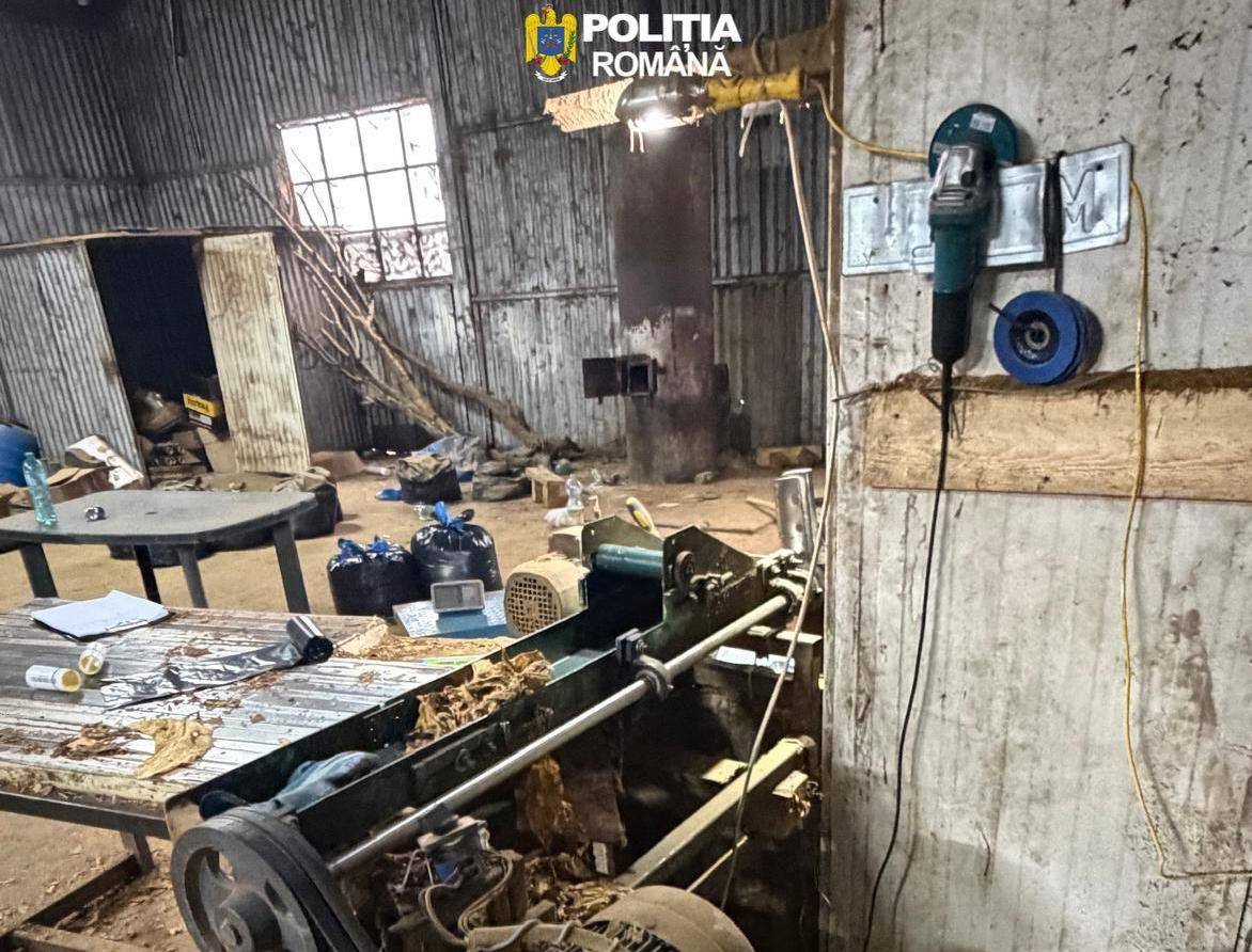 You are currently viewing Fabrică ilegală de prelucrare a tutunului, descoperită de poliţişti la Urziceni