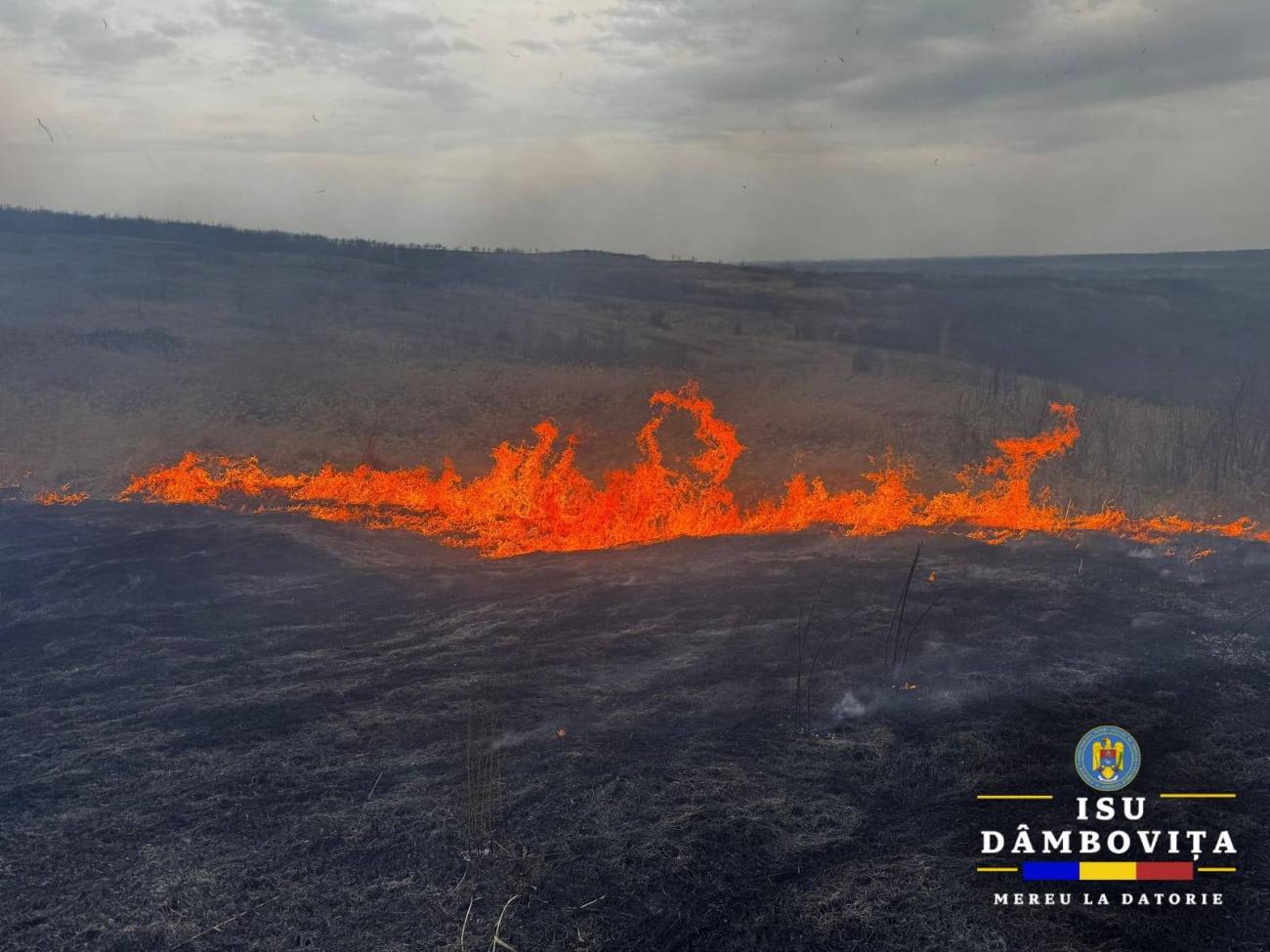 You are currently viewing Incendiu de vegetație uscată pe raza localității dâmbovițene Voia