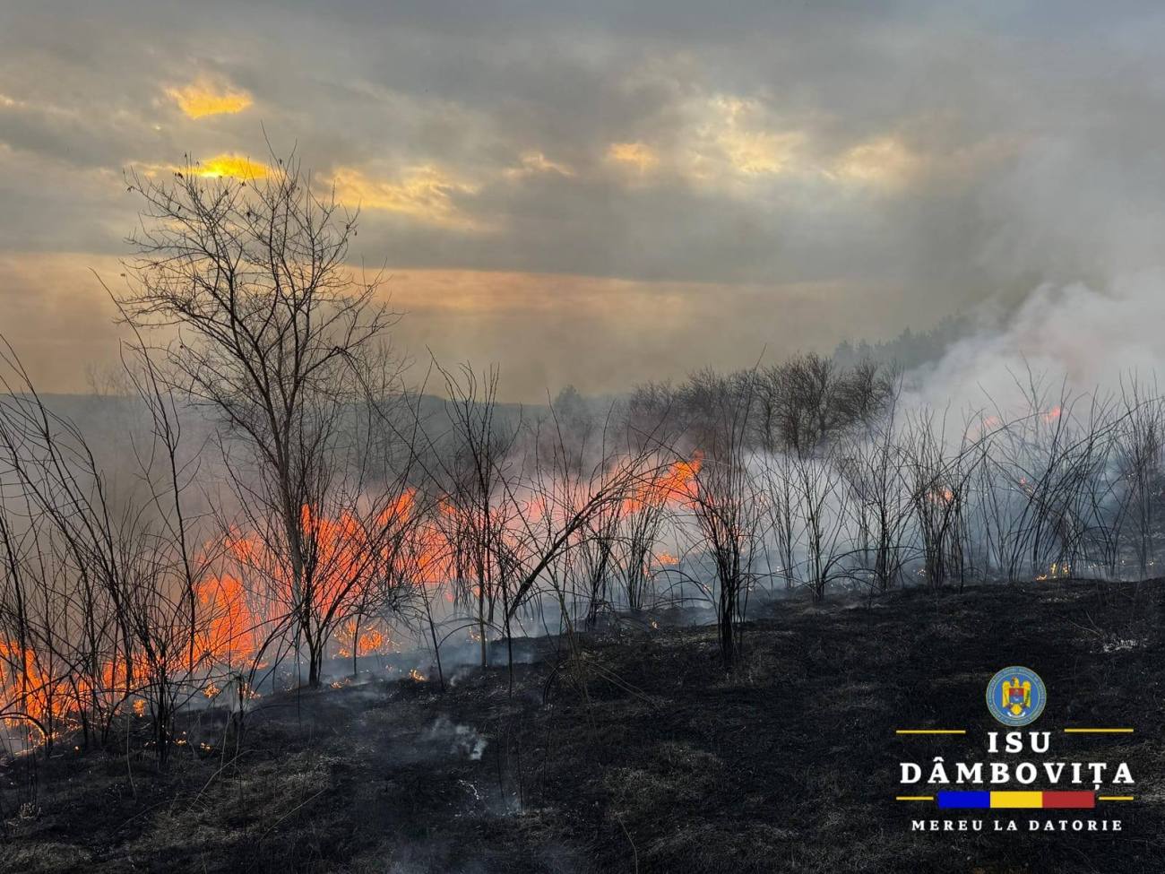 You are currently viewing Incendiu de vegetație uscată în Glodeni. Aproximativ 7 hectare au fost afectate
