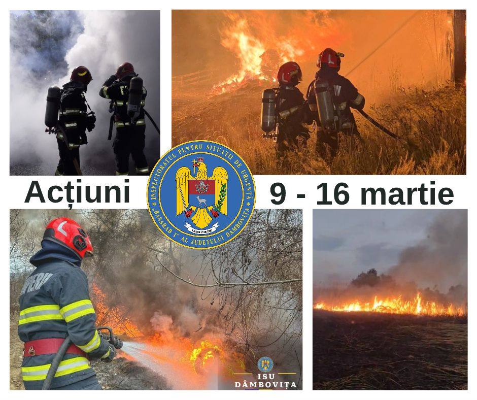 You are currently viewing Aproape 300 de intervenții ale pompierilor dâmbovițeni într-o săptămână