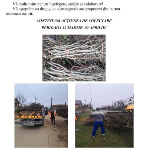 Read more about the article Primăria Petrești continuă colectarea gratuită a deșeurilor vegetale până pe 2 aprilie