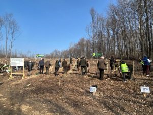 Read more about the article „Luna Plantării Arborilor” a debutat astăzi, la Bucșani, cu participarea elevilor și a silvicultorilor dâmbovițeni
