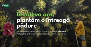 Read more about the article Acțiune de împădurire la Potlogi organizată în weekend de Act for Tomorrow