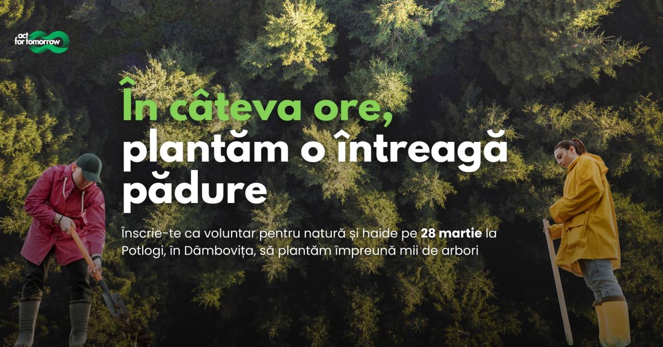 You are currently viewing Acțiune de împădurire la Potlogi organizată în weekend de Act for Tomorrow