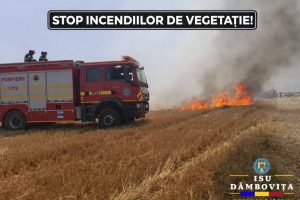 Read more about the article Peste 14 hectare de teren afectate, în județul Dâmbovița, de incendiile de vegetație, de la începutul lunii