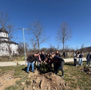 Read more about the article „Școala din Brazi” își recapătă identitatea. Arbori plantați de elevi și administrația locală, la Vulcana-Pandele