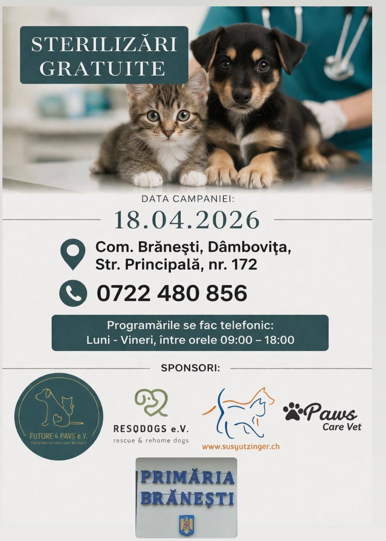 You are currently viewing Sterilizări gratuite pentru câini și pisici, la Brănești, pe 18 aprilie
