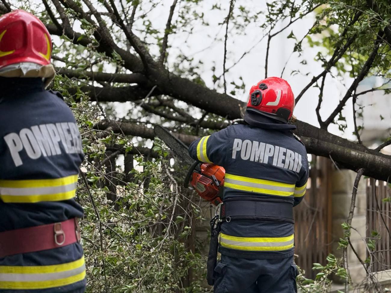 You are currently viewing Vântul puternic a produs pagube în 14 județe. O persoană a murit lovită de un acoperiș smuls de rafalele de vânt