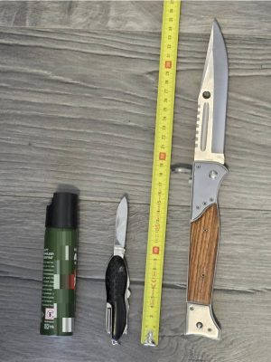 Read more about the article Femeie de 21 ani depistată de jandarmi cu obiecte periculoase asupra sa, la Judecătoria Târgoviște