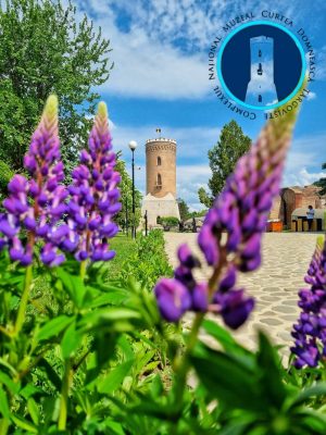 Read more about the article Muzeele Complexului Național Muzeal „Curtea Domnească” Târgoviște, deschise în perioada 10 – 13 aprilie 2026!