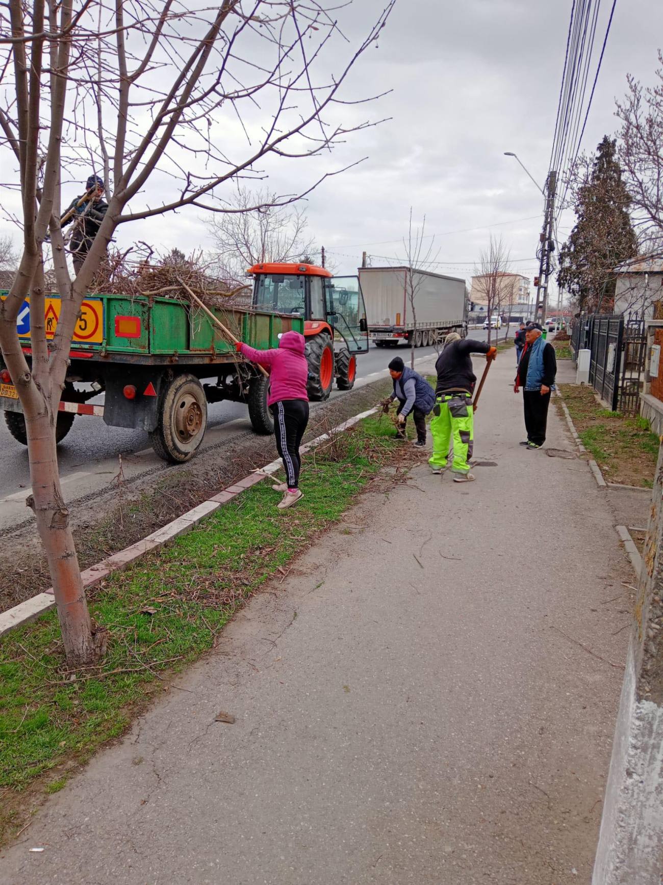 You are currently viewing Primăria Găești: ridicarea resturilor vegetale continuă până la 1 mai