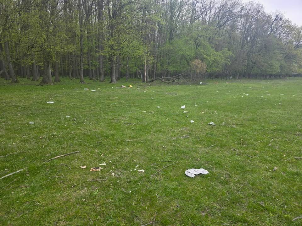 You are currently viewing Pădurea de la Ghimpati, afectată de deșeuri după zilele de Paște. Apel la responsabilitate din partea primarului din Răcari