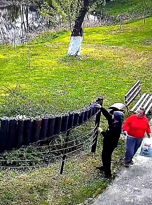 You are currently viewing Flori furate din spațiile verzi din Găești. Primarul a sesizat poliția