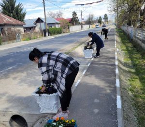 Read more about the article Activități de primăvară la Odobești, plantări de arbori, curățenie și lucrări de întreținere în mai multe zone