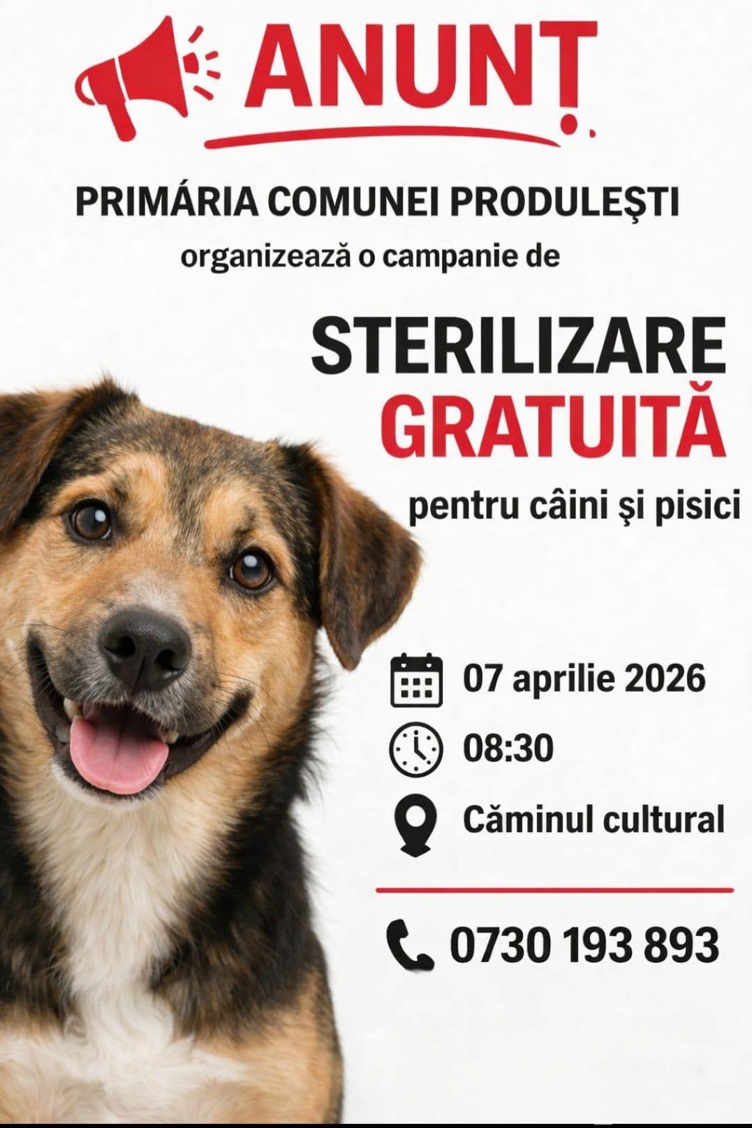 You are currently viewing Campanie de sterilizare gratuită la Produlești. Apel către localnici pentru a reduce numărul animalelor fără stăpân