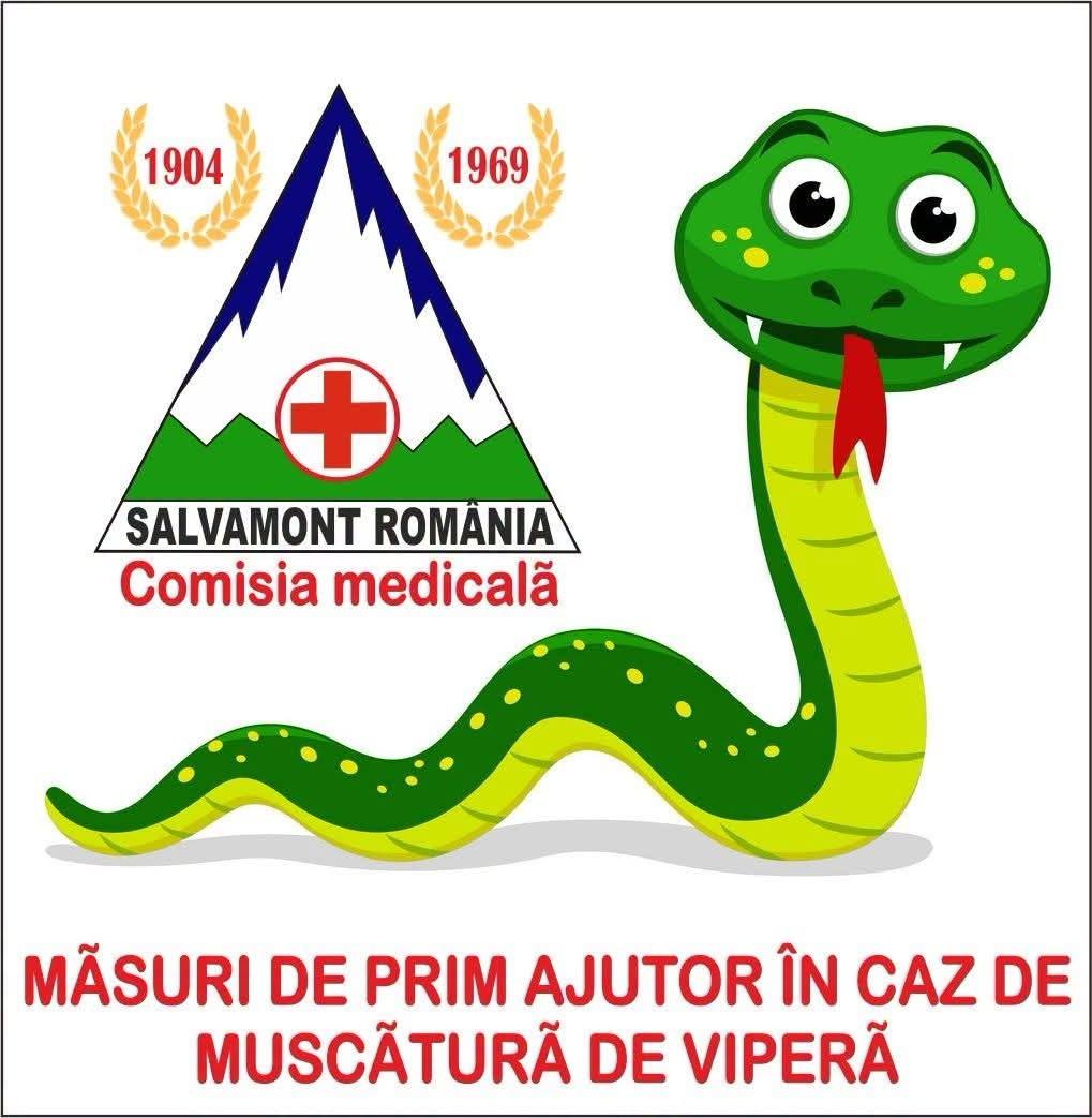 You are currently viewing Atenționare Salvamont: ce trebuie să știi înainte de a pleca pe traseu. Măsuri esențiale în caz de mușcătură de viperă